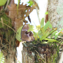 фото из отзыва ID 1560998