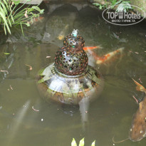 фото из отзыва ID 1560998