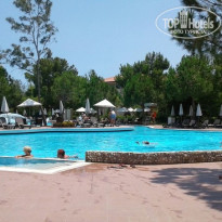 фото из отзыва ID 1561446