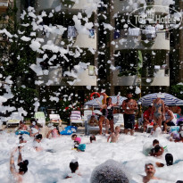 фото из отзыва ID 1561528