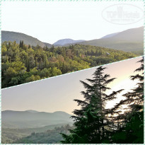 фото из отзыва ID 1561777