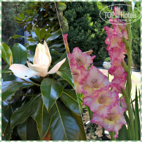 фото из отзыва ID 1561777