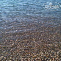 фото из отзыва ID 1561777