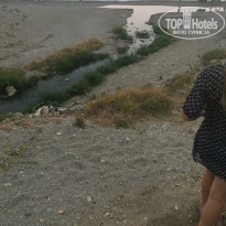 фото из отзыва ID 1561913