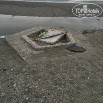 фото из отзыва ID 1561913