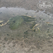 фото из отзыва ID 1561913