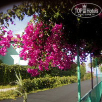 фото из отзыва ID 1561925