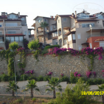 фото из отзыва ID 1561925