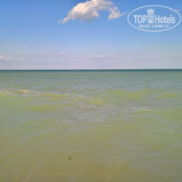 фото из отзыва ID 1561972