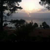 фото из отзыва ID 1562037