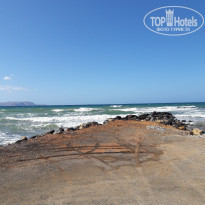 фото из отзыва ID 1562071