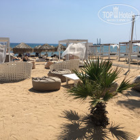 фото из отзыва ID 1562074