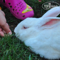 фото из отзыва ID 1562183