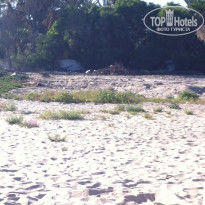 фото из отзыва ID 1562197