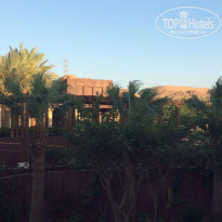 фото из отзыва ID 1562294