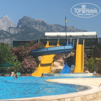 фото из отзыва ID 1562441