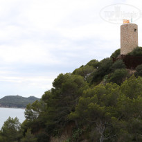 фото из отзыва ID 1562482