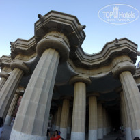 фото из отзыва ID 1562482