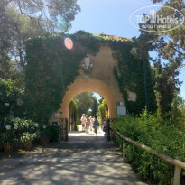 фото из отзыва ID 1562482