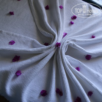 фото из отзыва ID 1562494