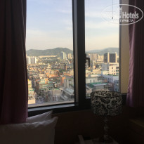 фото из отзыва ID 1562689