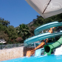 фото из отзыва ID 1562825