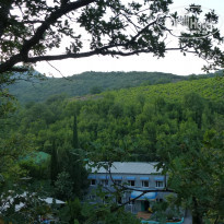 фото из отзыва ID 1562842