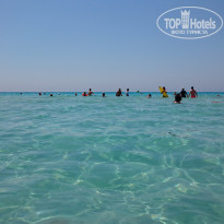 фото из отзыва ID 1563002