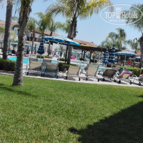 фото из отзыва ID 1563002