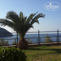 фото из отзыва ID 1563005