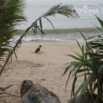 фото из отзыва ID 1563169