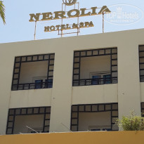 фото из отзыва ID 1563181