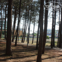 фото из отзыва ID 1563187