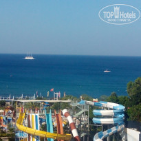 фото из отзыва ID 1563320