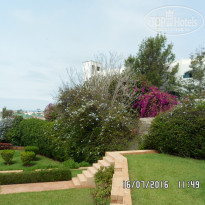 фото из отзыва ID 1563341