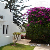 фото из отзыва ID 1563341