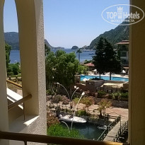 фото из отзыва ID 1563391