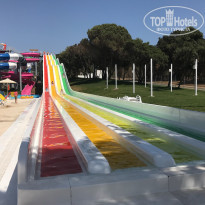 фото из отзыва ID 1563177