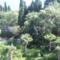 фото из отзыва ID 1563431