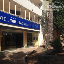 фото из отзыва ID 1563439