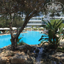 фото из отзыва ID 1563490