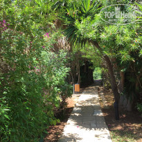 фото из отзыва ID 1563490