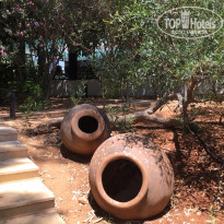 фото из отзыва ID 1563490