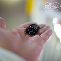 фото из отзыва ID 1563712