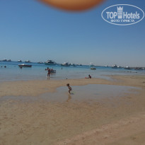 фото из отзыва ID 1563826