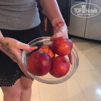 фото из отзыва ID 1563829