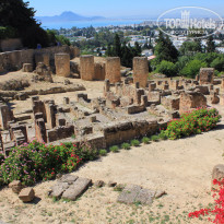 фото из отзыва ID 1563785