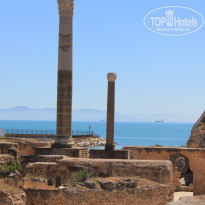 фото из отзыва ID 1563785