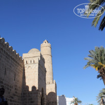 фото из отзыва ID 1563785