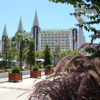 фото из отзыва ID 1563959